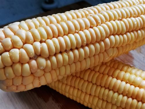 玉米