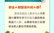 炭疽究竟是什么？会不会人传人？应该如何有效预防？一图读懂