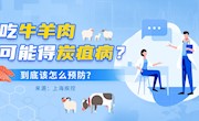 吃牛羊肉可能得炭疽病？到底该怎么预防？