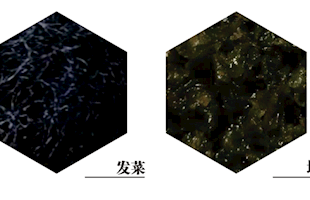  注意！已列入一级重点保护生物名单！不可随意采挖！ 