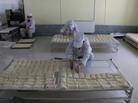 皋兰禾尚头小麦