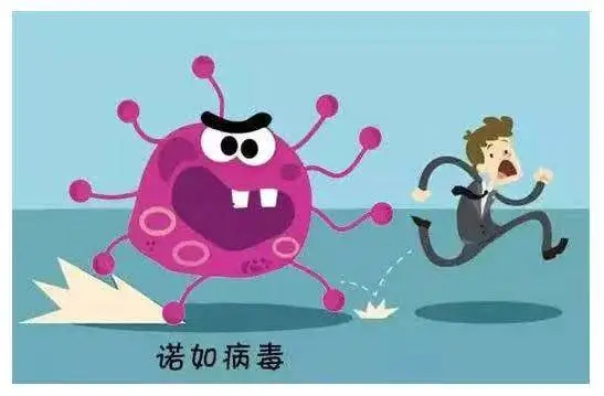 春季腹泻，小心诺如病毒“耍花招”