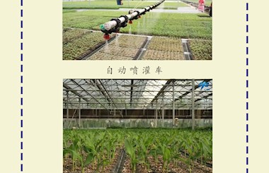 航天育种温室了解一下