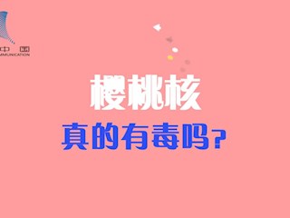 樱桃核真的有毒吗？ 