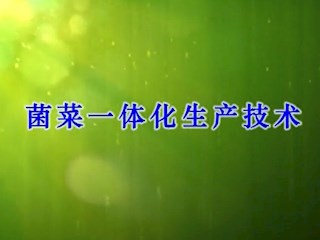 菌菜一体化生产技术 