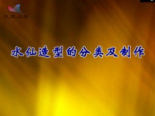 水仙造型的分类及制作