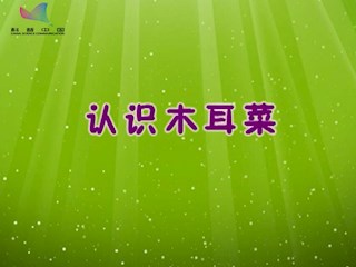 认识木耳菜