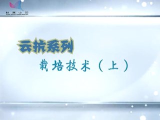 云抗系列栽培技术（上）