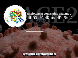 关于新冠肺炎的一切｜回形针