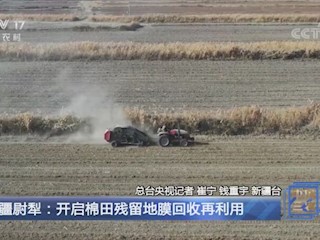 冬闲人不闲新疆尉犁：开启棉田残留地膜回收再利用
