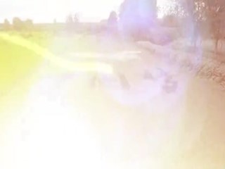 水稻机插秧育秧技术