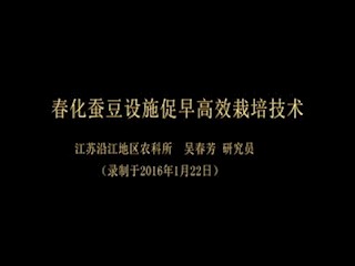 春化蚕豆设施促早高效栽培技术