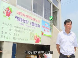 草莓定植前后病虫害防控关键技术