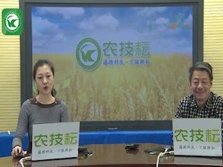 水生蔬菜绿色高效生产技术