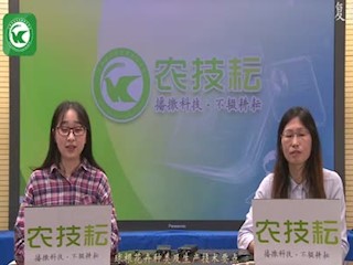 球根花卉种类及生产技术要点