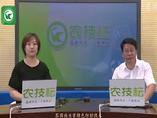 茶园病虫害绿色防控技术