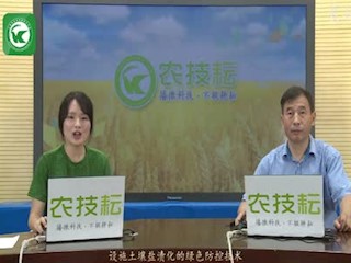 设施土壤盐渍化的绿色防控技术