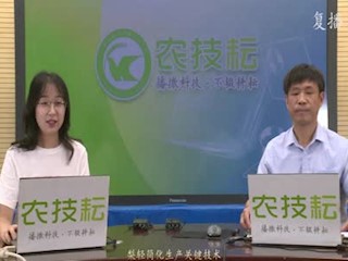 梨轻简化生产关键技术