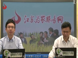 机械化秸秆还田与机播小麦技术