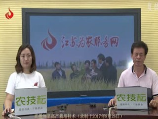 直播油菜高产栽培技术