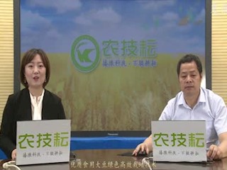 优质食用大豆绿色高效栽培技术