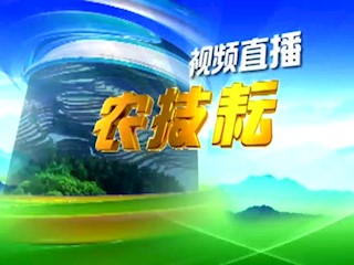 种猪高效繁育和饲养技术