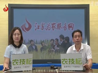 稻田养虾的关键技术