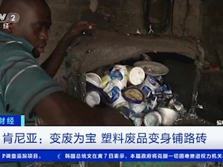 肯尼亚：变废为宝 塑料废品变身铺路砖