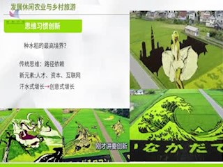 休闲农业乡村旅游的思维习惯与经...