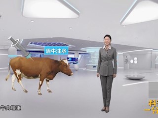 如何辨别注水牛肉