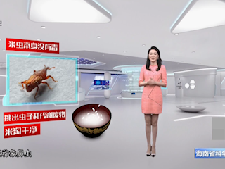 大米生虫还能吃吗？