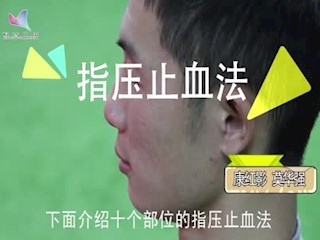 全书视频--指压止血法
