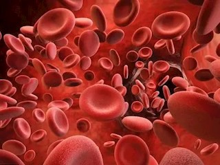 神秘血液的多种“角色”