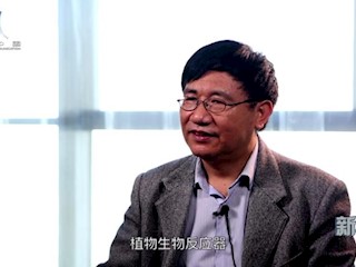 植物生物反应器之美